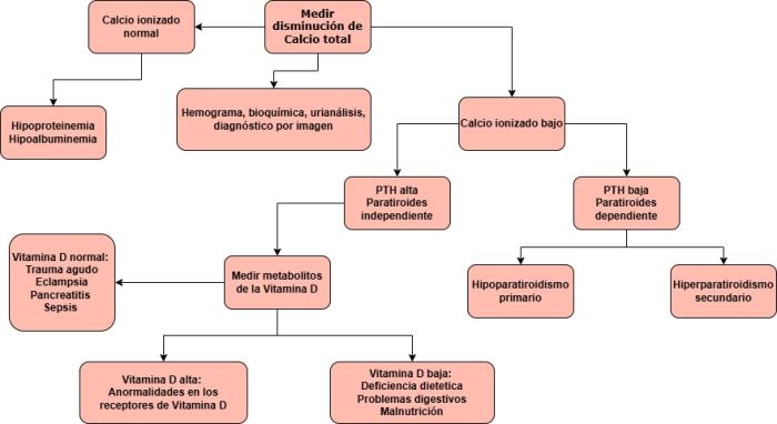 Figura 3. Algoritmo de hipocalcemia (modificado de BSAVA Manual of Canine and Feline Clinical Pathology).