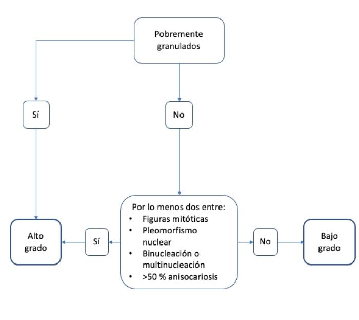 Figura 3. Algoritmo de gradación citológica para mastocitomas cutáneos caninos (adaptado de Camus et al, 2016).