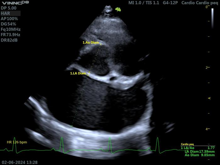 Figura 7. Ecocardiografía 2D en un gato con HCM. Proyección paraesternal derecha de eje corto a nivel de la base cardiaca. Valoración del diámetro de la AI (LA2D), y de su relación con la aorta (LA2D/Ao = 1.77).