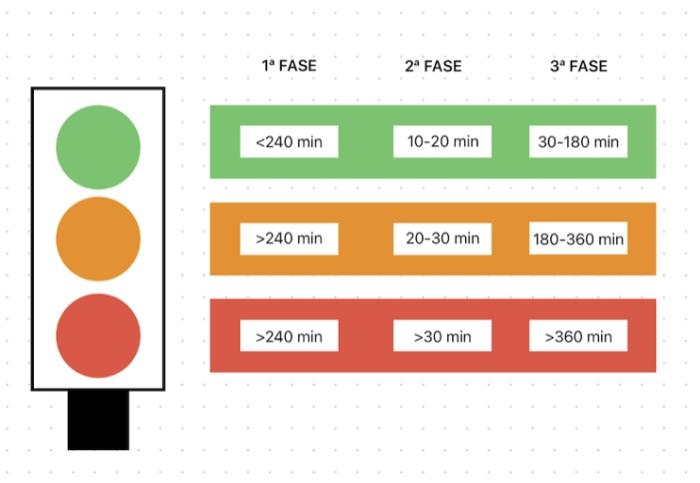 Figura 3. Tabla resumen de las fases de un parto.