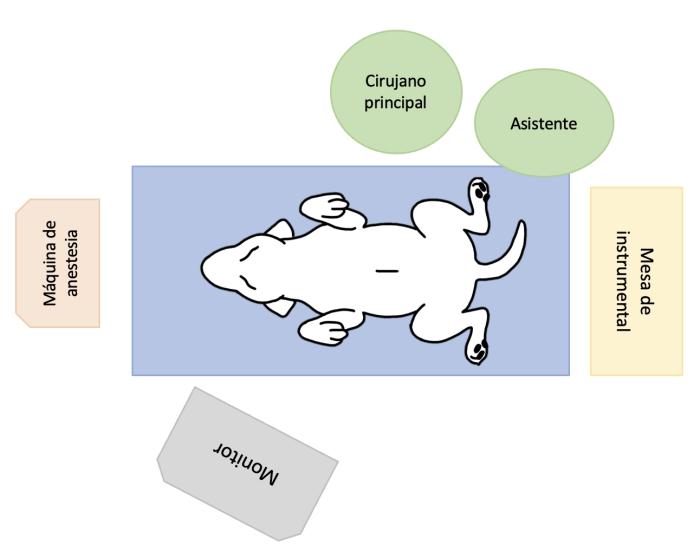 Figura 10. Esquema de organización del instrumental y personal de quirófano para la realización de una gastropexia íntegra por laparoscopia.