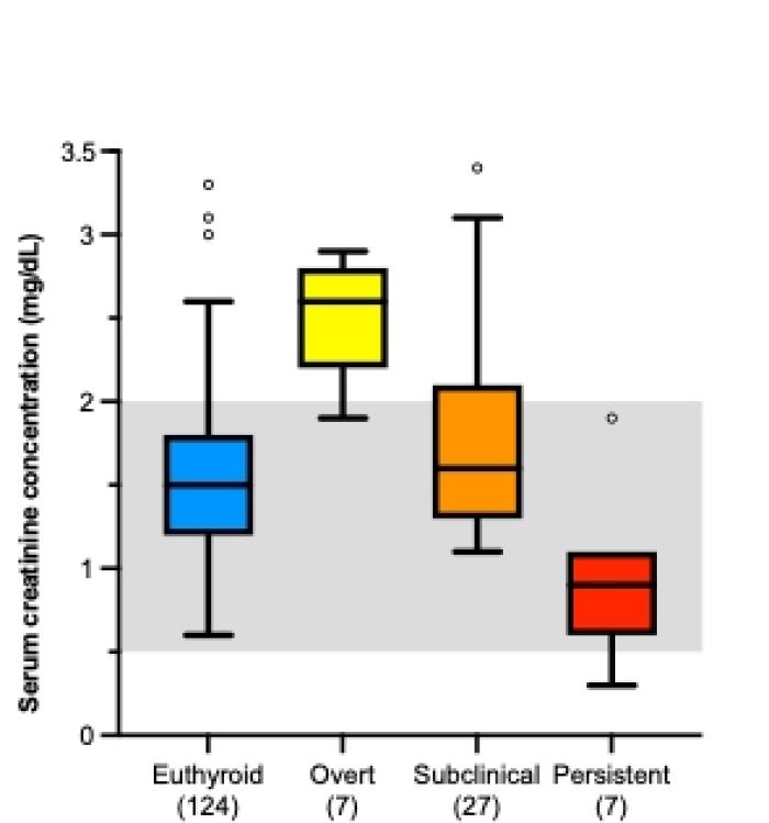 Figura 3. Valores de creatinina en gatos tratados con I131 según el resultado del tratamiento a los 6 meses (eutiroidismo, hipotiroidismo clínico, hipotiroidismo subclínico y persistencia del hipertiroidismo). De: Xifra P, Serrano SI, Peterson ME. Radioiodine treatment of hyperthyroidism in cats: results of 165 cats treated by an individualised dosing algorithm in Spain. J Feline Med Surg. 2022;24(8):e258-e68.