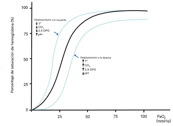 Figura 1. Diagrama de la curva de disociación de la hemoglobina.