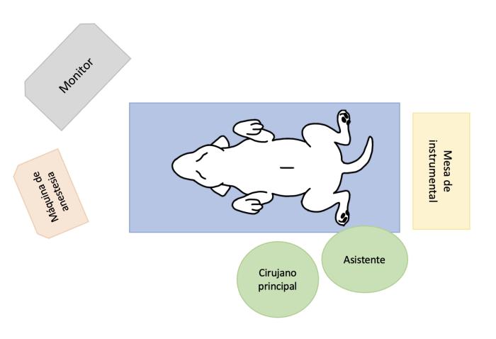 Figura 12. Esquema de organización del instrumental y personal de quirófano para la realización de una gastropexia asistida por laparoscopia.