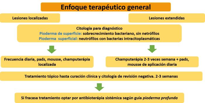 Figura 2.