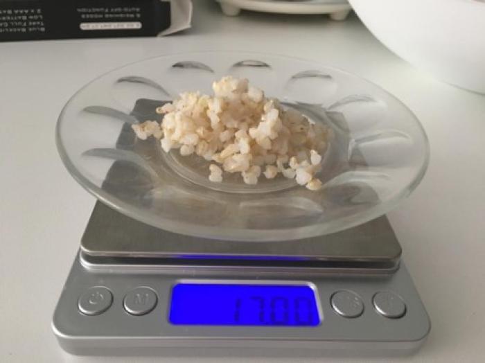 Figura 1. Es necesario utilizar balanzas con sensibilidades de al menos 0.1 g para la preparación de raciones caseras, especialmente en pacientes de pequeño tamaño.