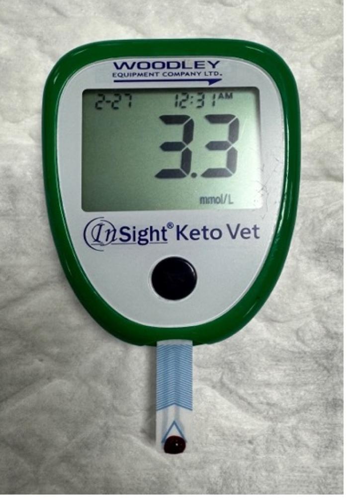Figura 1. Medición de β-hidroxibutirato en sangre utilizando un medidor portátil InSight® Keto Vet (Woodley Equipment Company Ltd.). El resultado muestra una concentración de 3.3 mmol/l, compatible con cetonemia significativa.