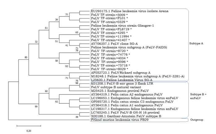 Figura 2. Análisis filogenético molecular mediante el método de máxima verosimilitud (maximum likelihood). El árbol presenta las secuencias de referencia representativas de subtipos obtenidas de la base de datos del NCBI utilizadas para realizar nuestra comparación. Las muestras de Tenerife obtenidas en este estudio están indicadas con un asterisco. Los valores de bootstrap inferiores a 30 no se muestran.