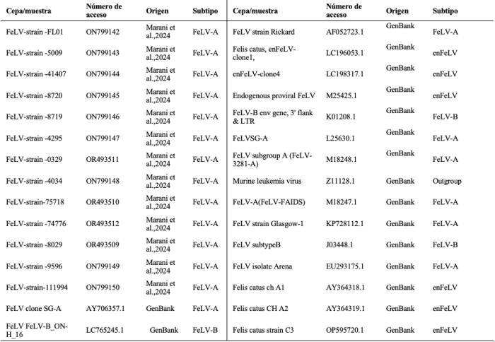Tabla 2. Secuencias de referencia de GenBank y muestras de FeLV obtenidas en este estudio utilizadas en la construcción del árbol filogenético.