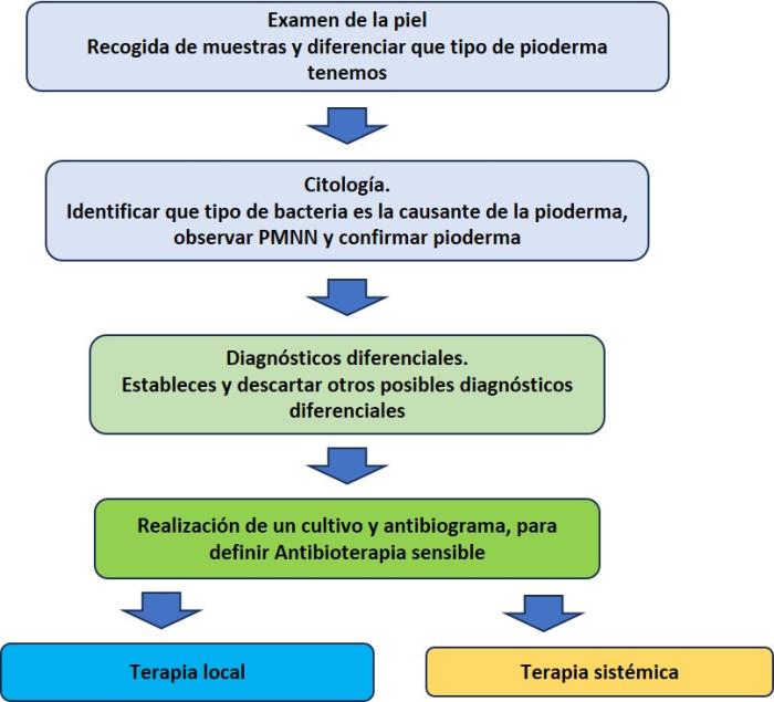 Figura 1.