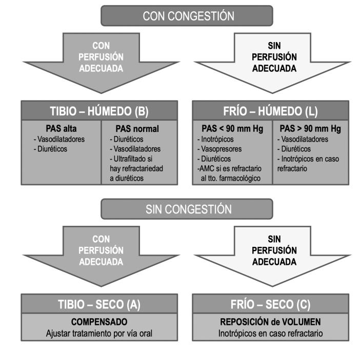 Figura 19. Algoritmo de recomendaciones de abordaje según diferentes perfiles hemodinámicos en insuficiencia cardiaca congestiva.