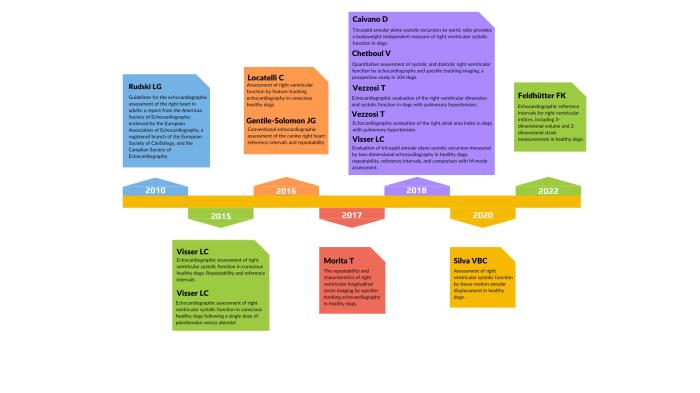 Figura 1. Esquema de los estudios incluidos en la revisión.
