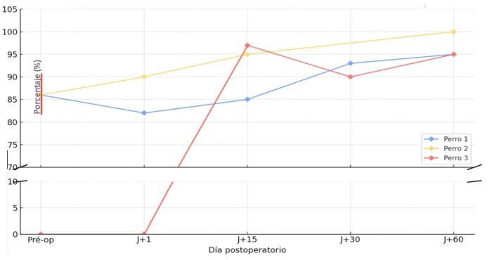 Figura 6. Porcentaje de recuperación del apoyo en 3 perros operados por STIF (elaboración propia).