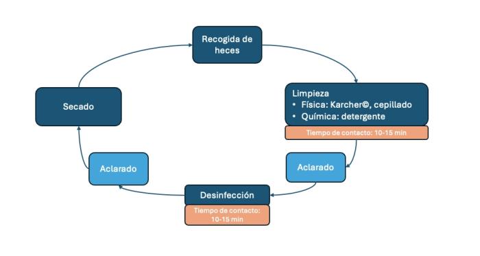Figura 3. Orden a seguir en el proceso de limpieza y desinfección de instalaciones zoosanitarias.