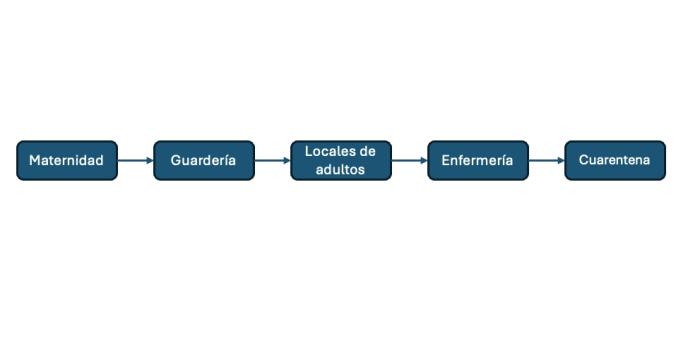 Figura 2. Marcha en adelante: flujo de trabajo en un criadero organizado por sectores según grupos de riesgo infeccioso.
