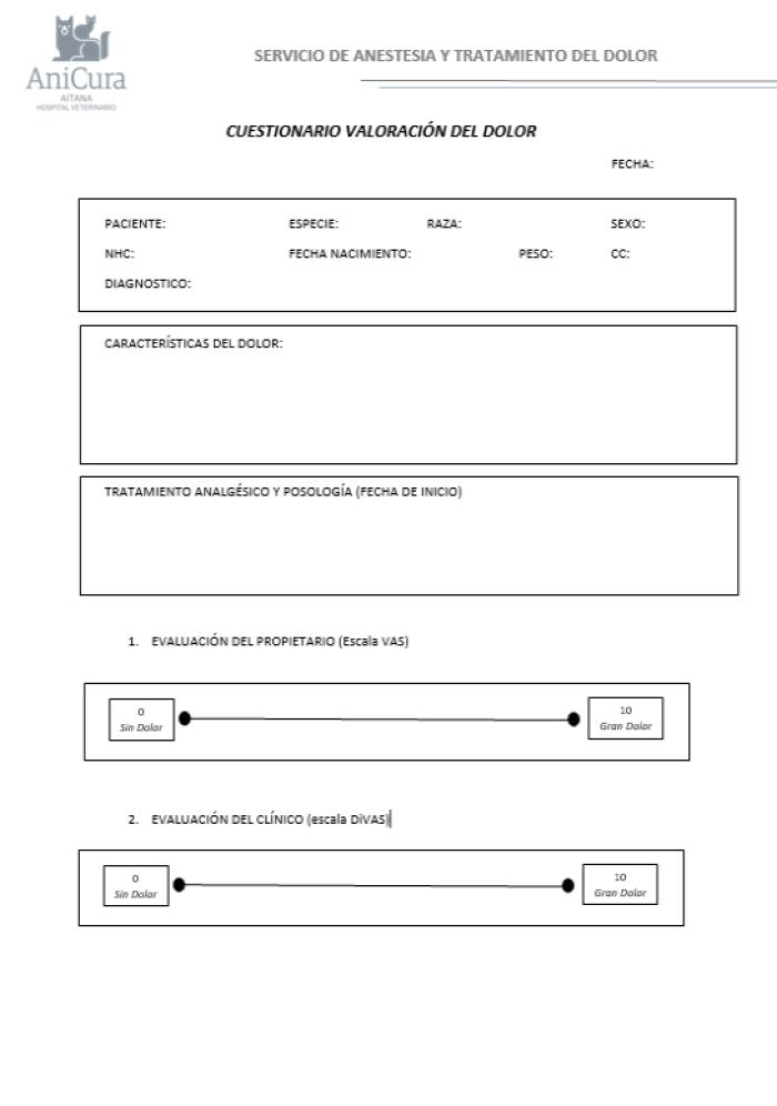 Figura 2. Plantilla de la consulta del dolor utilizada por el autor.