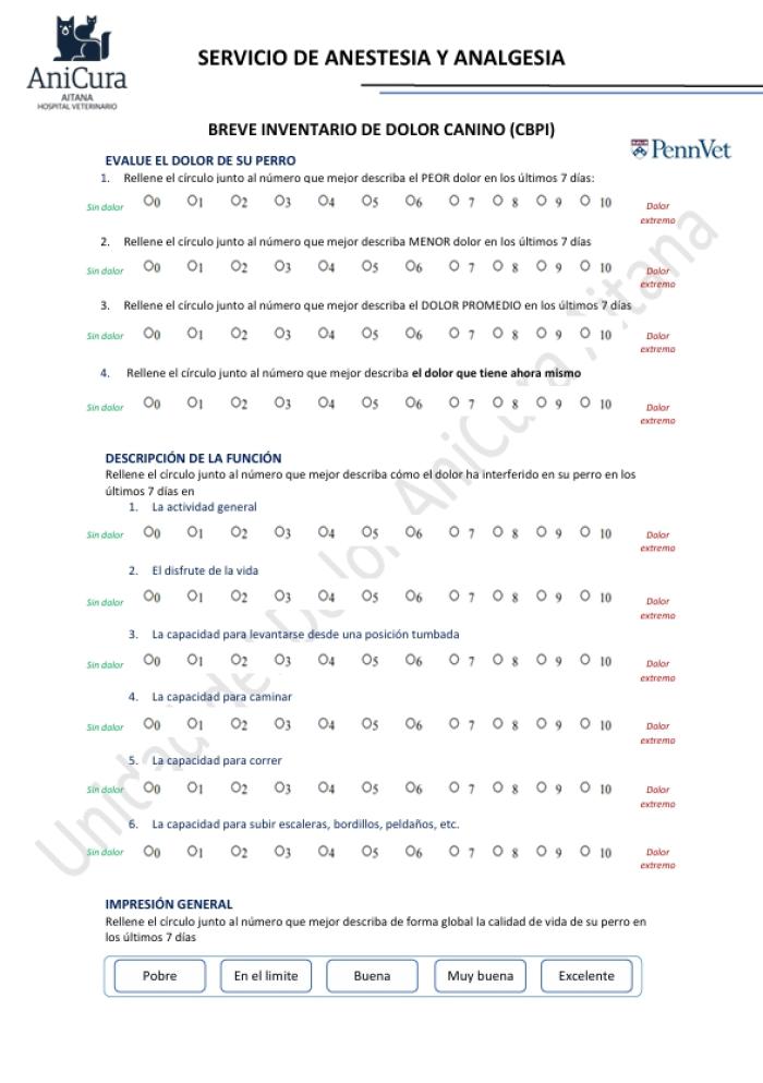 Figura 3. Escala de Canine Brief Pain Inventory (CBPI) utilizada por el autor.