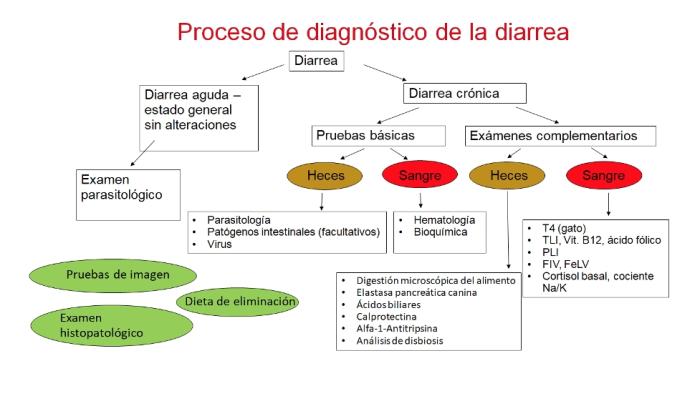 Figura 3. Proceso de diagnóstico de la diarrea.