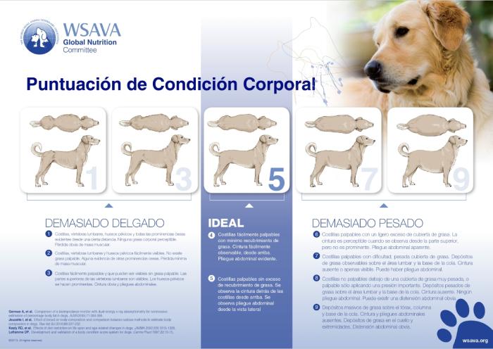 Figura 1. Enlace para la descarga de la escala de PCC gentileza de WSAVA, para su uso por parte de los tutores, (A) en perros y (B) en gatos.
