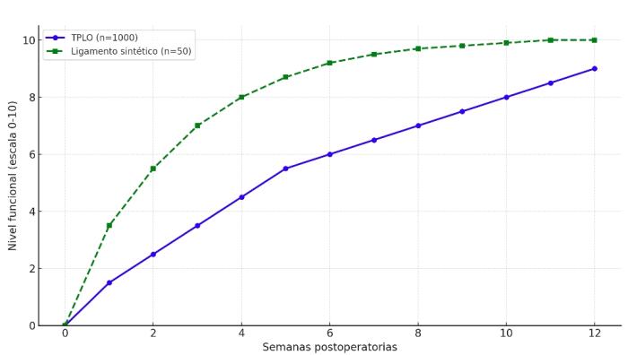 Figura 4. Recuperación funcional tras cirugía del LCCr (elaboración propia).