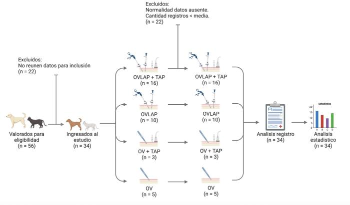 Figura 1. Flujograma de selección de individuos incluidos en el estudio, motivos de exclusión y distribución entre grupos.