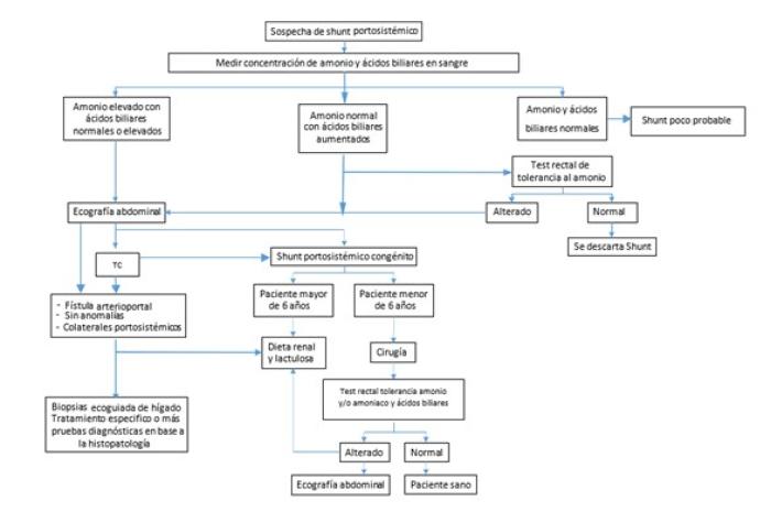 Esquema 1. Algoritmo de diagnóstico y tratamiento del shunt portosistémico.