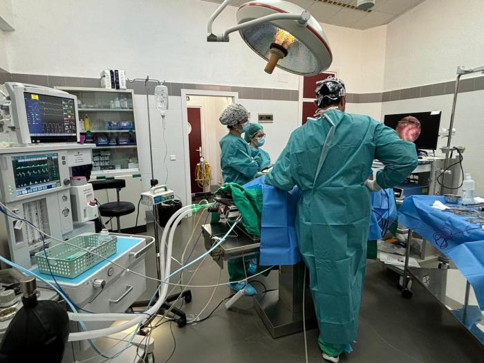 Figura 1. Perro anestesiado para realización de ovariohisterectomía mediante laparoscopia. Obsérvese el animal (A) anestesiado y monitorizado, y (B) el posicionamiento durante el procedimiento.