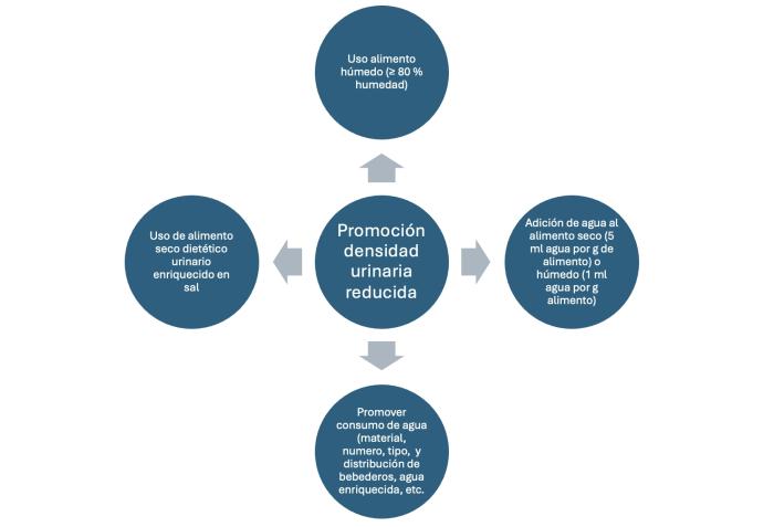 Figura 1. Estrategias para promover una densidad urinaria reducida en el manejo de la urolitiasis.