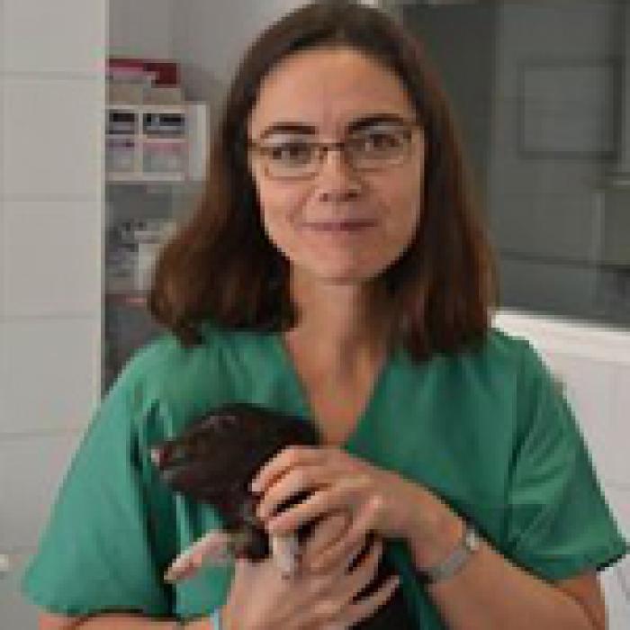 Aurora Santos Ureta
