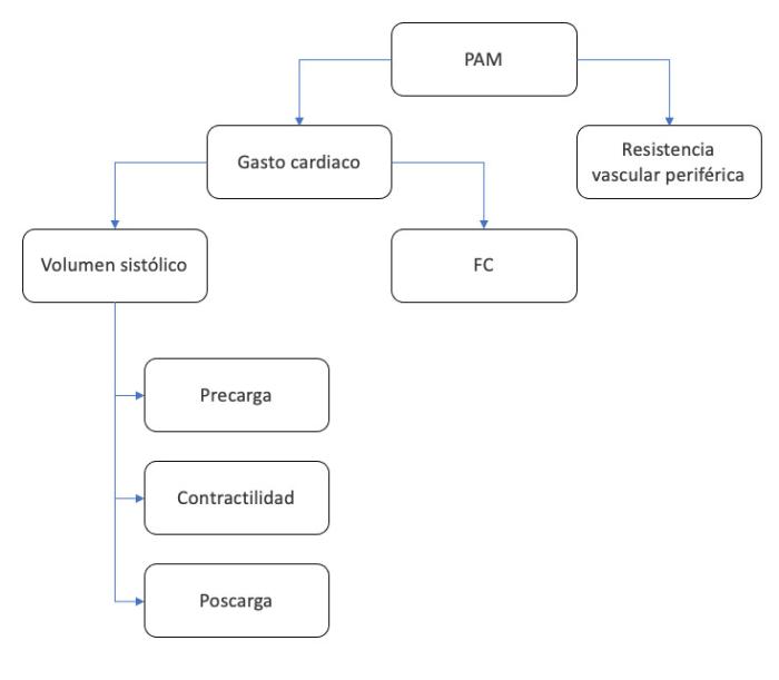 Figura 1. Componentes de la presión arterial. PAM: presión arterial media. FC: frecuencia cardiaca.
