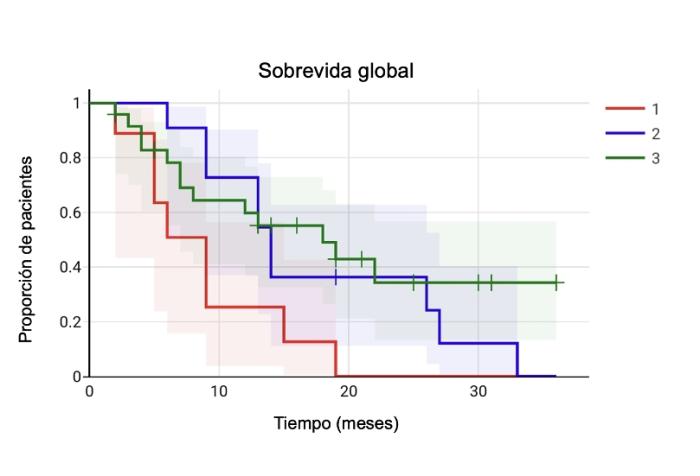 Figura 4. Curvas de Kaplan-Meier de sobrevida global. La sobrevida global resultó ser mayor en el tratamiento combinado cuando se lo compara con la cirugía sola, de forma estadísticamente significativa. No hubo diferencias estadísticas entre el grupo de radioterapia y ECT.