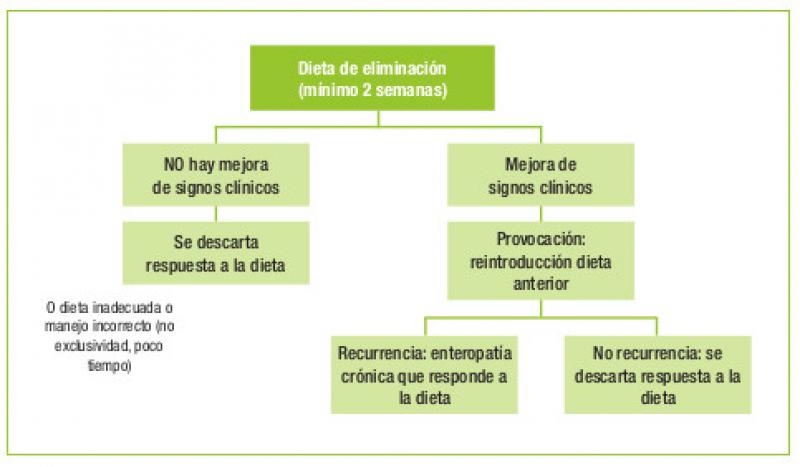 Figura 1. Algoritmo para realizar una prueba de eliminación y provocación para diagnosticar enteropatía crónica con respuesta a la dieta.