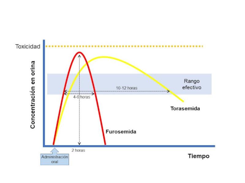 Figura 1: Farmacodinamia de la torasemida respecto a la furosemida.