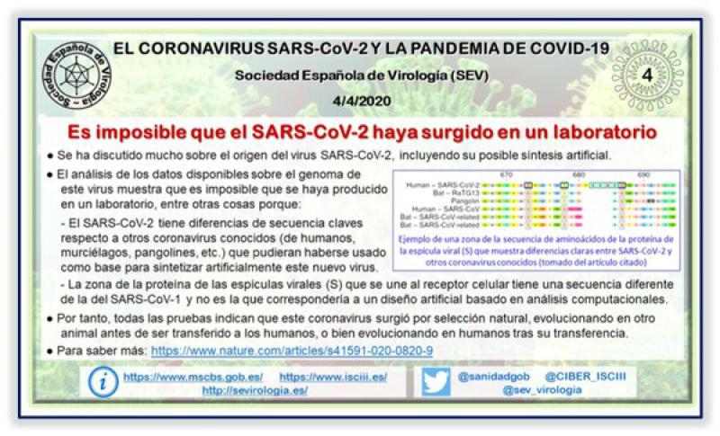 Figura 1. Infografía sobre el posible origen del SARS-CoV-2. Fuente: Sociedad Española de Virología, (SEV).