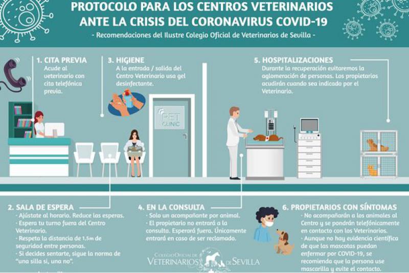 Figura 12. Protocolo para los centros veterinarios ante la crisis del COVID-19. Fuente Ilustre Colegio Oficial de Veterinarios de Sevilla.
