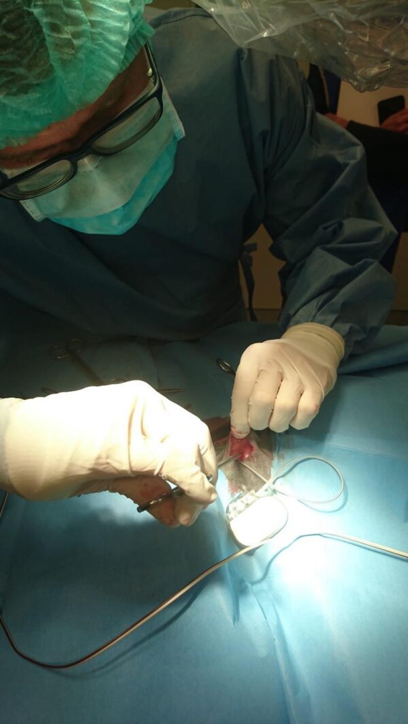 Figura 13: El Dr. en Cardiología Jordi López introduciendo un electrodo del marcapasos.