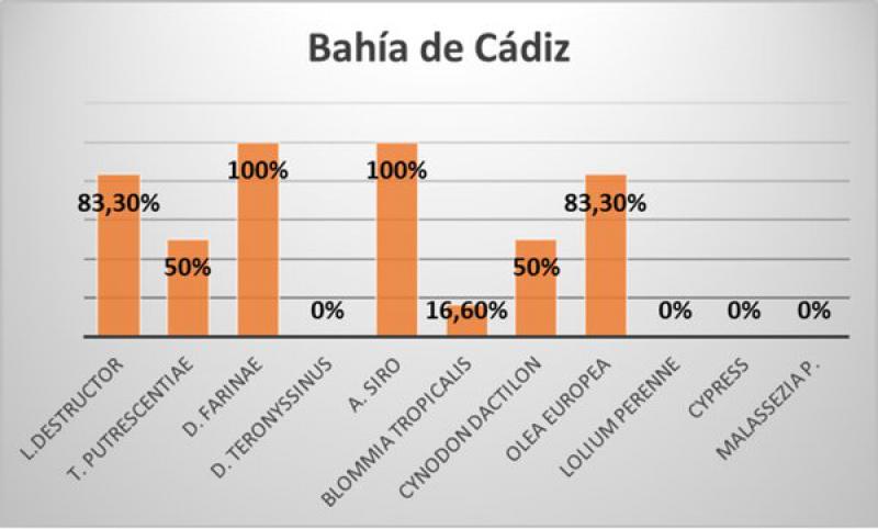 Figura 15. Gráfico de la Bahía de Cádiz.