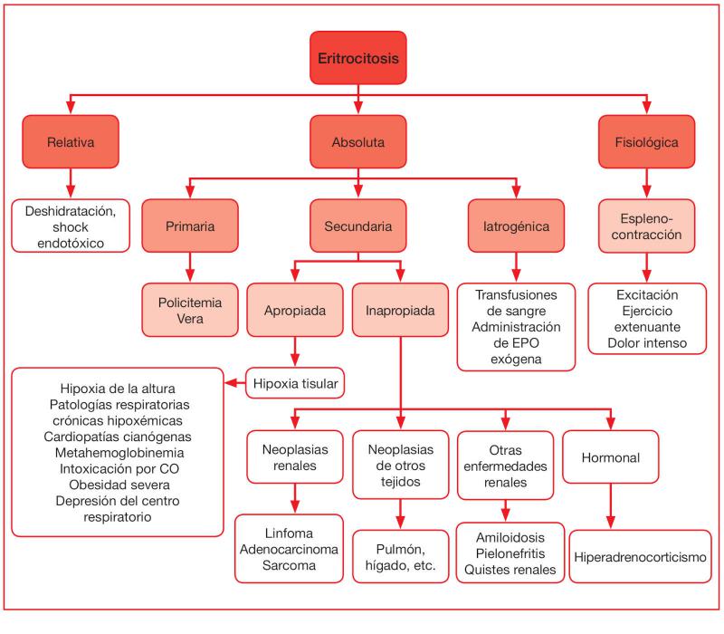 Figura 1.Etiología de la eritrocitosis.