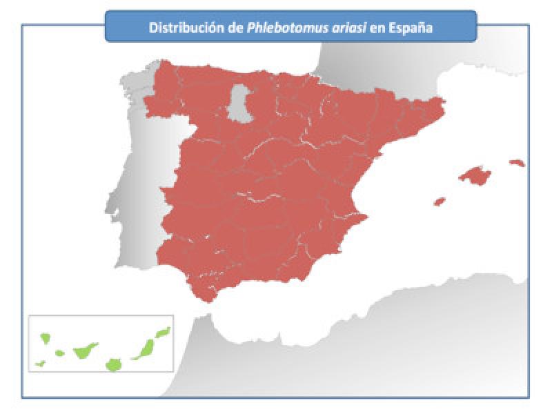 Figura 2. Distribución de Phlebotomus ariasi en España. Actualizado con los datos del Programa de Vigilancia de Vectores del Ministerio de Agricultura Pesca y Alimentación (MAPA).