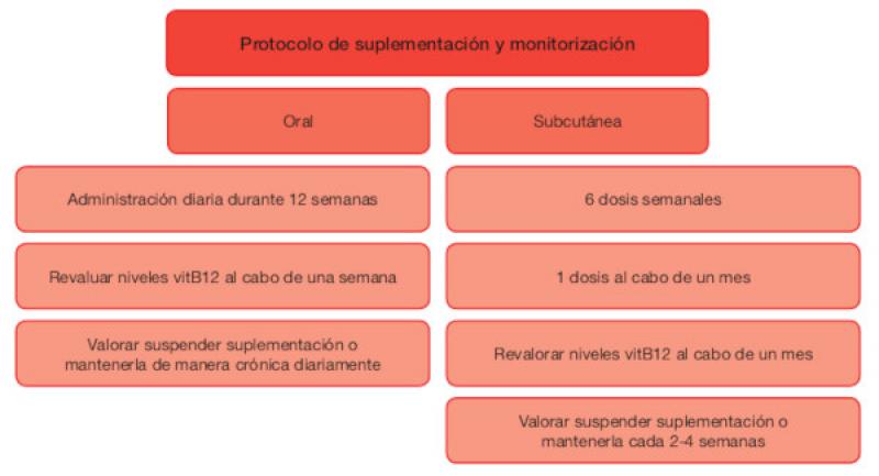 Figura 2. Protocolo de suplementación de cobalamina y su posterior monitorización en pacientes caninos y felinos en función de la vía de administración elegida.