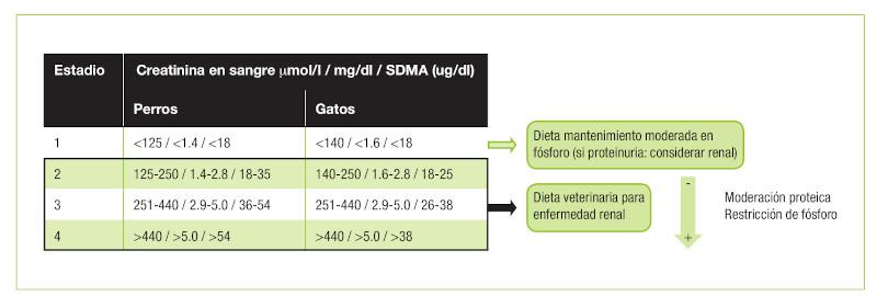Figura 2. Selección de dieta según el estadio IRIS5 de enfermedad renal crónica.
