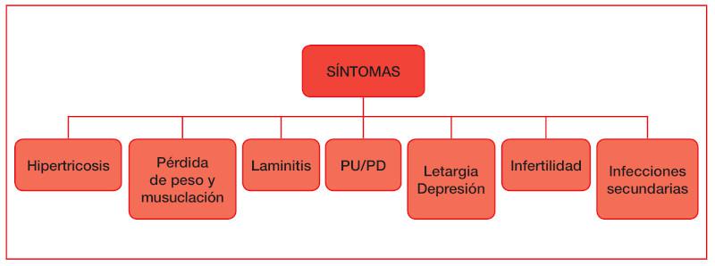 Figura 2. Síntomas encontrados en casos de disfunción de la pars intermedia.
