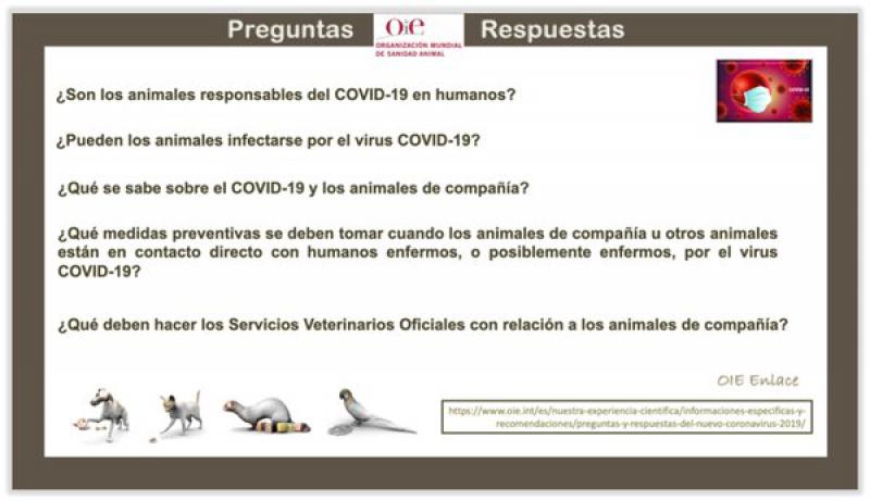 Figura 21. Información sobre COVID-10 en la página Web de la OIE.