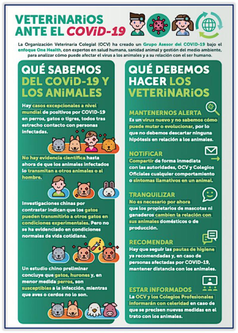 Figura 22. Infografía «Veterinarios frente al Covid-19». Fuente: Organización Colegial Veterinaria.