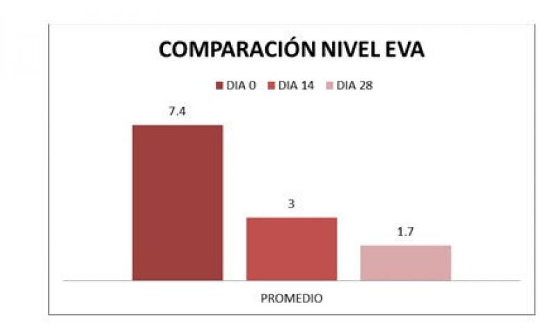 Figura 3. Comparación porcentual de la intensidad de nivel de EVA de prurito al día 0, 14 y 28 de tratamiento con oclacitinib de los pacientes en estudio.