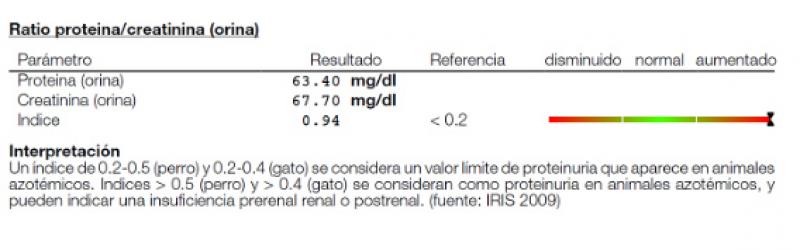 Figura 4. Ratio UPC elevado en paciente geriátrico felino.