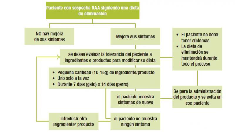 Figura 5. Protocolo de la fase de provocación en el diagnóstico de RAA18.