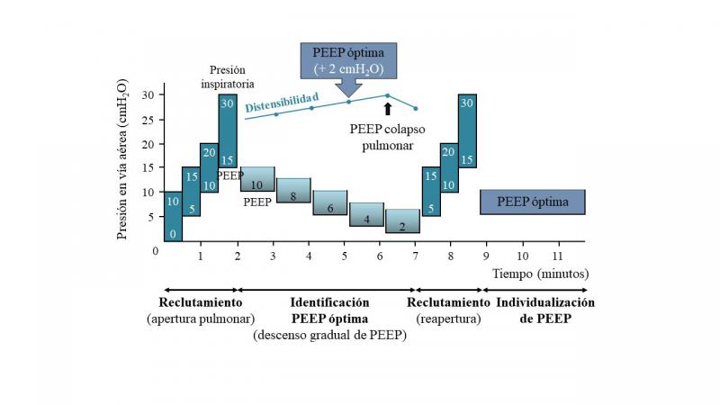Figura 5. Representación esquemática del método de individualización de la presión positiva al final de la espiración (PEEP) durante una maniobra de reclutamiento alveolar progresiva. Adaptado de García-Sanz (2022).