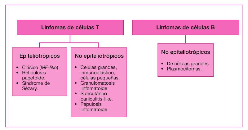 Figura 7. Clasifiación de linfomas cutáneos primarios caninos.