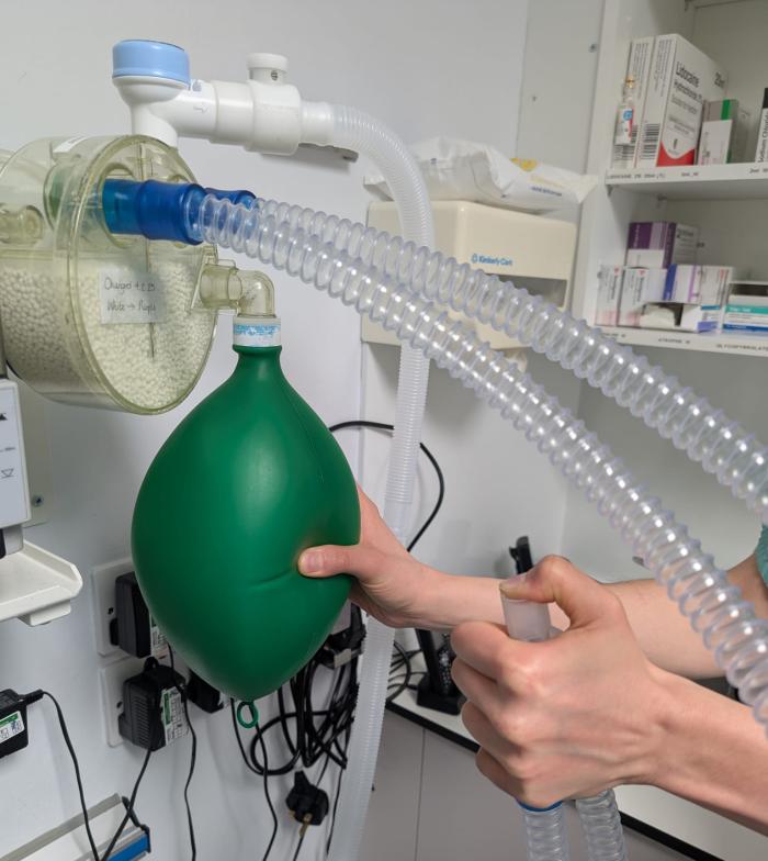 Figura 2. Chequeo del circuito anestésico antes de iniciar el procedimiento. Detectar y corregir posibles fugas es una medida clave para evitar el desperdicio de gases anestésicos y reducir emisiones innecesarias a la atmósfera.